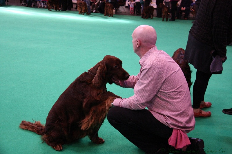 Crufts2011 416.jpg